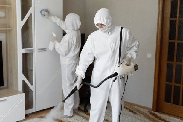 Best Commercial Mold Removal  in Allison, IA